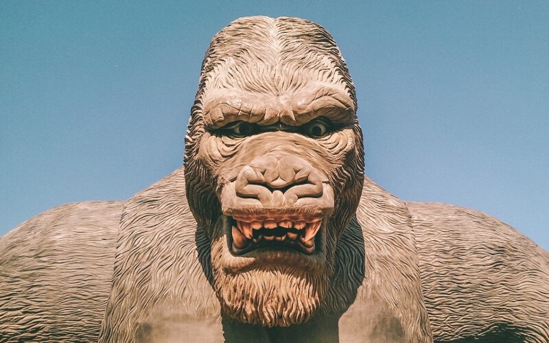 «Самолет» допустил отказ от планов приобрести «Интеко»