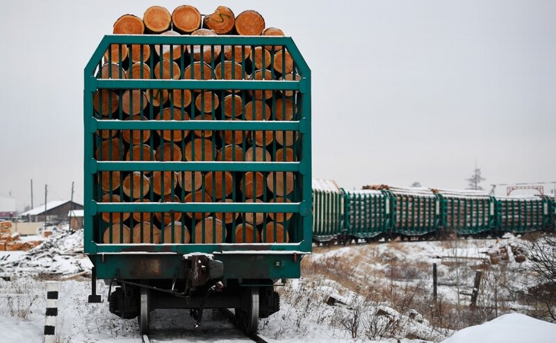 РЖД запретили возить в Китай водку, пиво и печенье