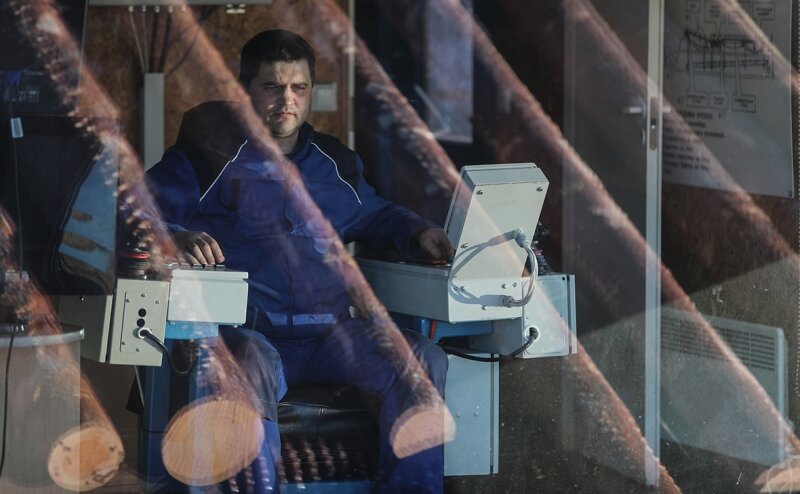 Власти одобрили продажу крупнейшей лесной компании на Дальнем Востоке