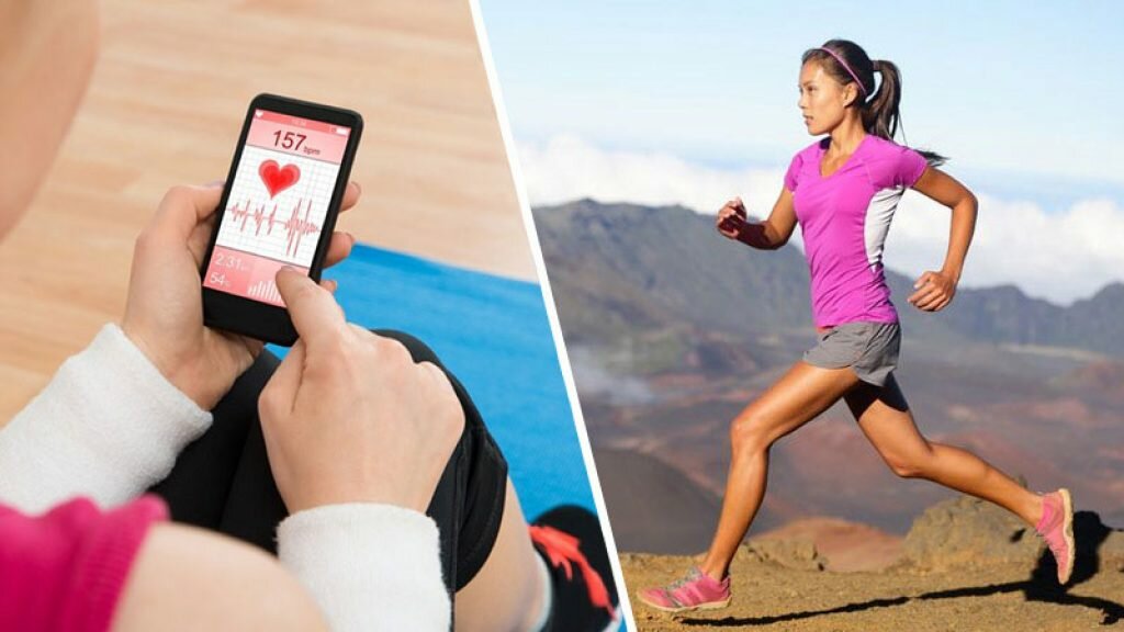 При каком пульсе происходит сжигания жира