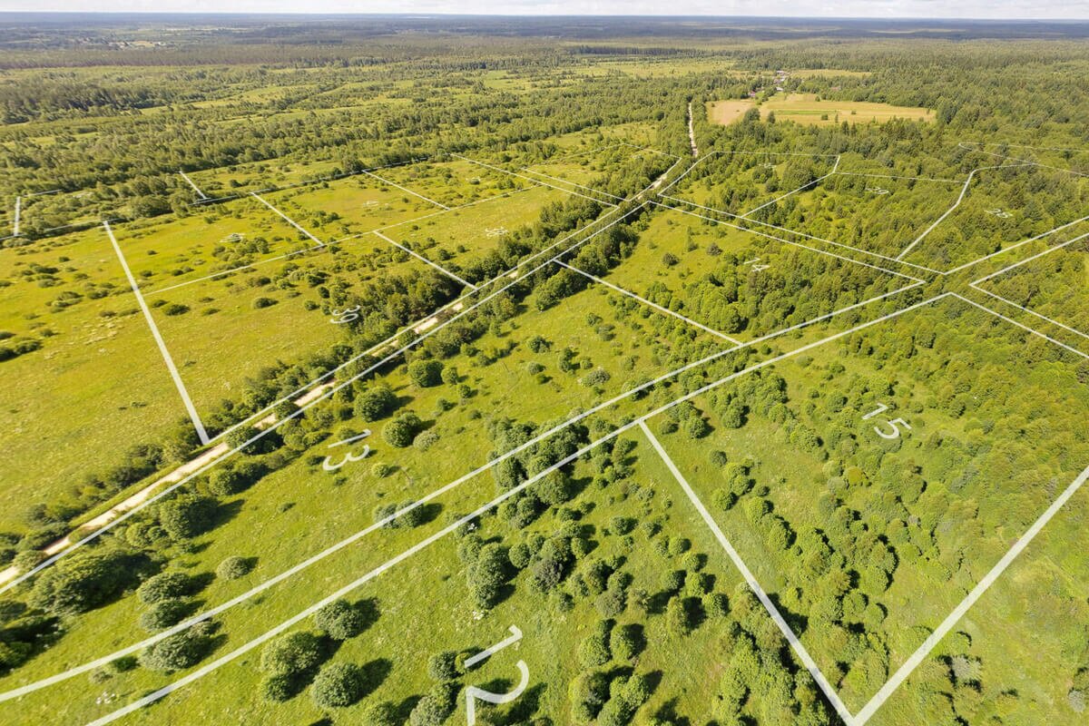 Земельний аукціон в Києві — за якою процедурою він буде проходити