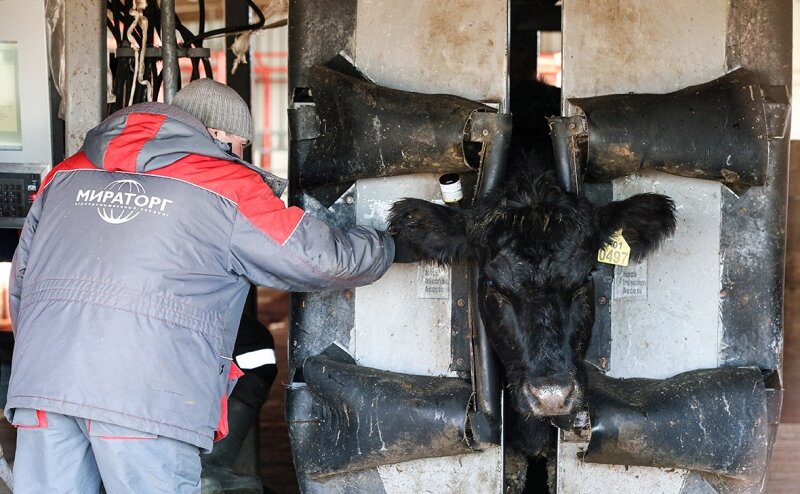 ФАС начала антикартельную проверку «Мираторга»