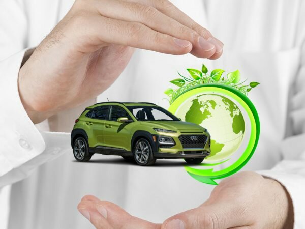 Что такое зеленая карта