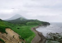 Туризм в России меняет формат