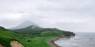 Туризм в России меняет формат