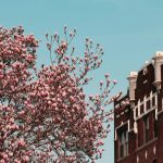 В Госдуме предложили ввести льготу по оплате капремонта для молодых семей