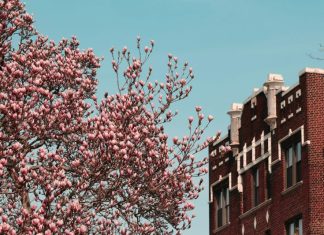 В Госдуме предложили ввести льготу по оплате капремонта для молодых семей