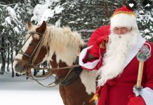 В Великом Устюге создадут особую туристическую зону с парком «Дед Мороз»
