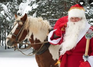 В Великом Устюге создадут особую туристическую зону с парком «Дед Мороз»