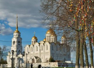 Владимирская и Калужская области стали открытием года