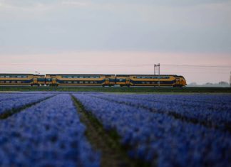 Билеты на поезд Стамбул – София начали продавать онлайн