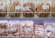 Китайская птичья угроза: как импорт куриного филе давит на российский рынок