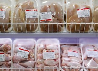 Китайская птичья угроза: как импорт куриного филе давит на российский рынок