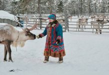 Попасть в заповедники Ямала стало проще