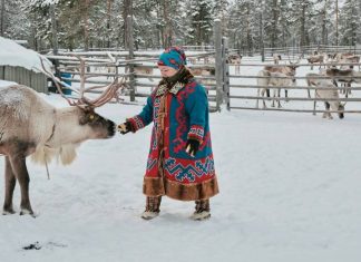 Попасть в заповедники Ямала стало проще