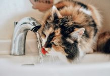 В Госдуме хотят ввести кешбэк за своевременную оплату коммуналки