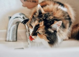 В Госдуме хотят ввести кешбэк за своевременную оплату коммуналки