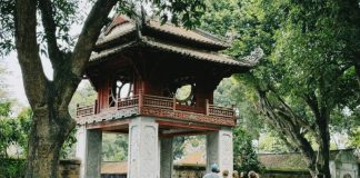 Вьетнам разрешил застрявшим туристам продлить визы на 30 дней