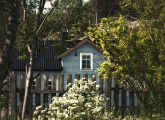 ФАС хочет ввести единый льготный тариф на электроэнергию для всех жителей СНТ