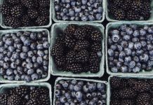 Ягодка опять: в России увеличивается производство ежевики, малины и голубики