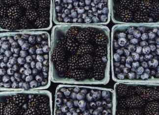 Ягодка опять: в России увеличивается производство ежевики, малины и голубики