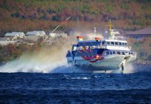 «Кометы» между Сочи и Сухумом начнут ходить с 15 мая