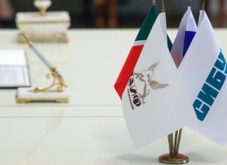 Любители жареного мяса и веганы: как проходило слияние «Сибура» с группой ТАИФ