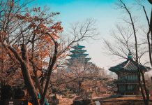 Названы самые удобные города мира для пеших прогулок