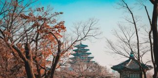 Названы самые удобные города мира для пеших прогулок