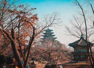 Названы самые удобные города мира для пеших прогулок