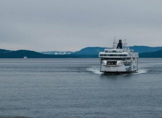 Паром Владивосток – Сокчхо прекратит работу