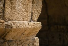 Под торговым центром в Англии запустили экскурсии к бастиону Древнего Рима