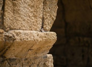 Под торговым центром в Англии запустили экскурсии к бастиону Древнего Рима